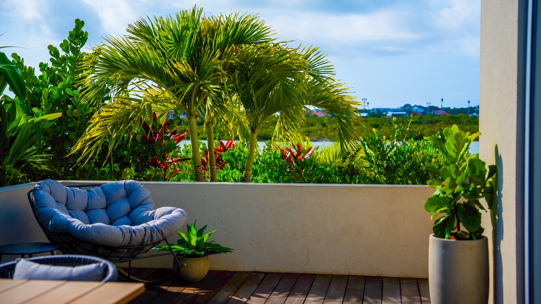Rocking chair patio framed by palms and tropical waterfront greenery